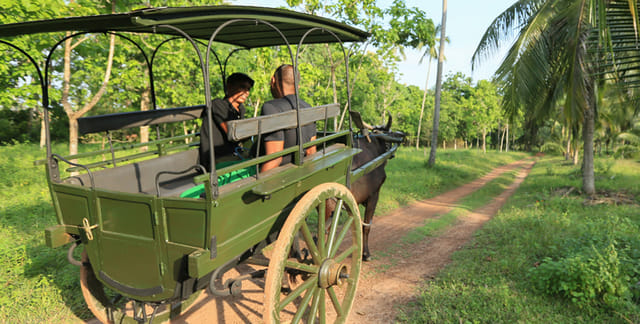 Sri Lankan Traditional Foods & Cultural Tour