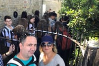 Private Half Day London Tour With Car/Black Cab/MPV/Van/Coach 3