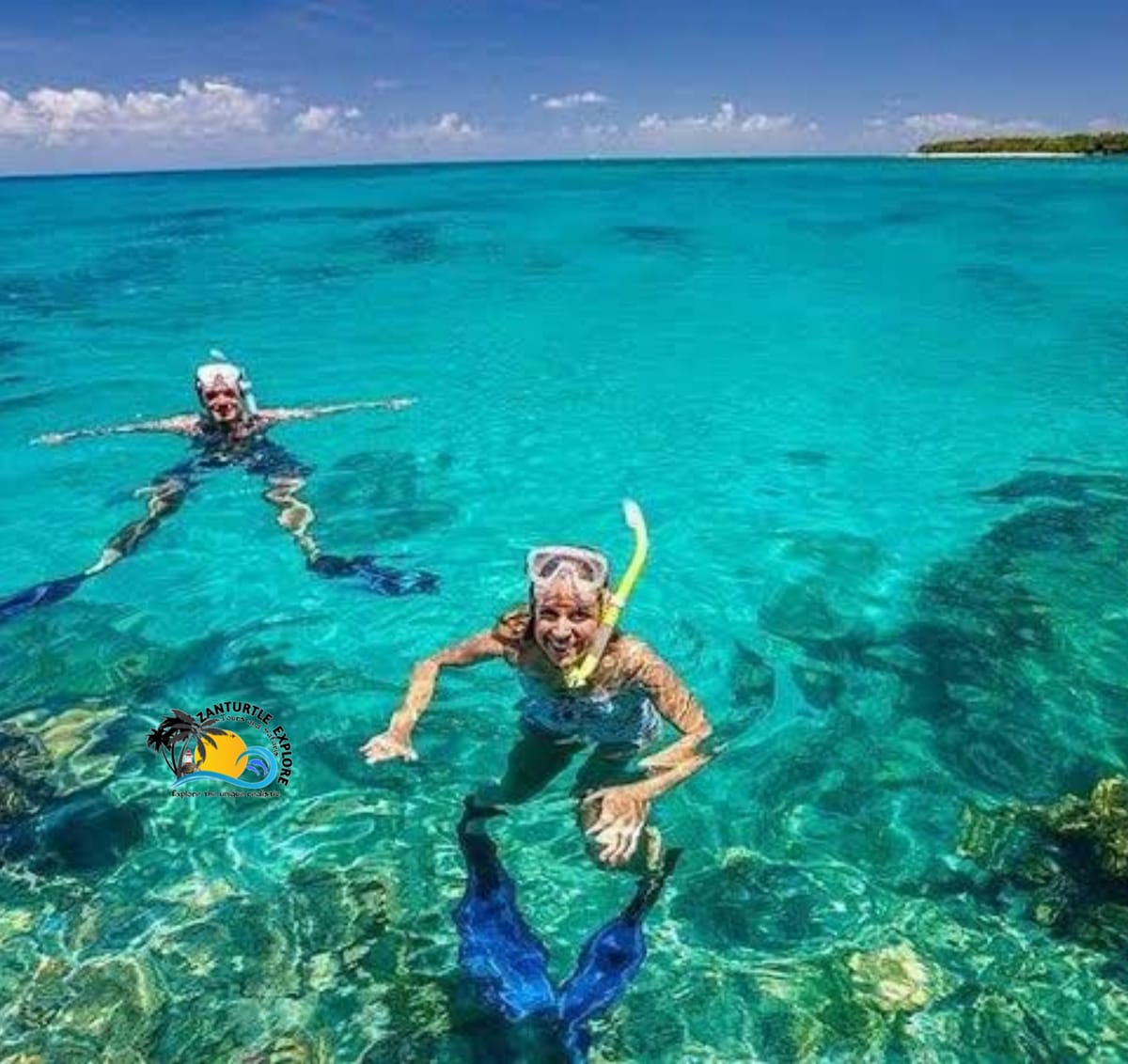 Zanzibar Prison Island Giant Big Tortoise Tour