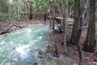 Thailand’s Last Lowland Rainforest – A Hidden Gem Tour 3
