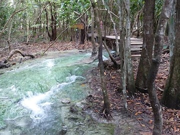 Thung Theo Forest Natural Park Full-Day Guided Tour