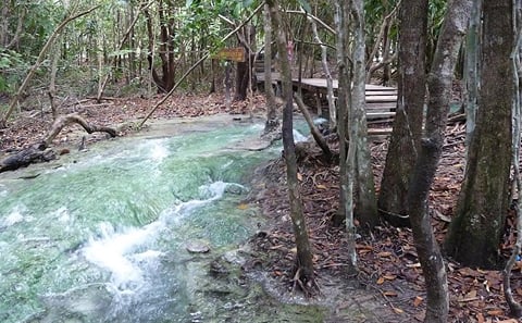 Thung Theo Forest Natural Park Full-Day Guided Tour