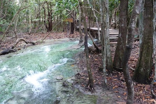 Thailand’s Last Lowland Rainforest – A Hidden Gem Tour photo 3