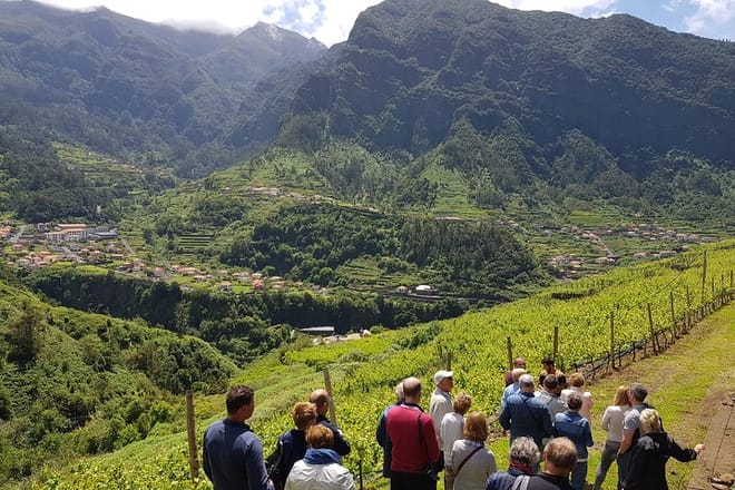 Madeira Wine Tastings , Vineyards and Skywalk, Full day tour in 4x4 Open Roof  10
