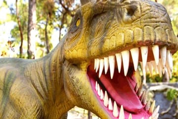 Kemer Dinopark Tour with hotel transfer