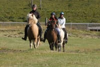 04D - Riding and Gullfoss, Geysir & Þingvellir 1
