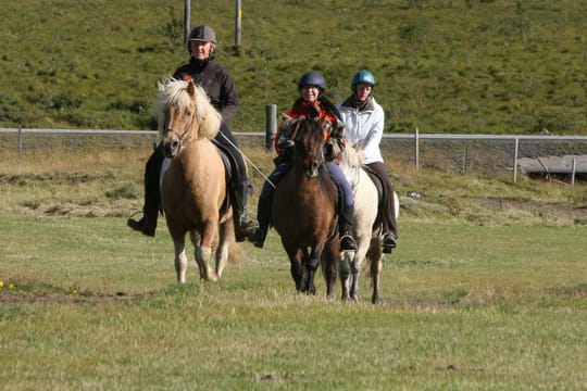 04D - Riding and Gullfoss, Geysir & Þingvellir