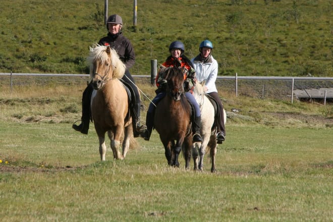 04D - Riding and Gullfoss, Geysir & Þingvellir