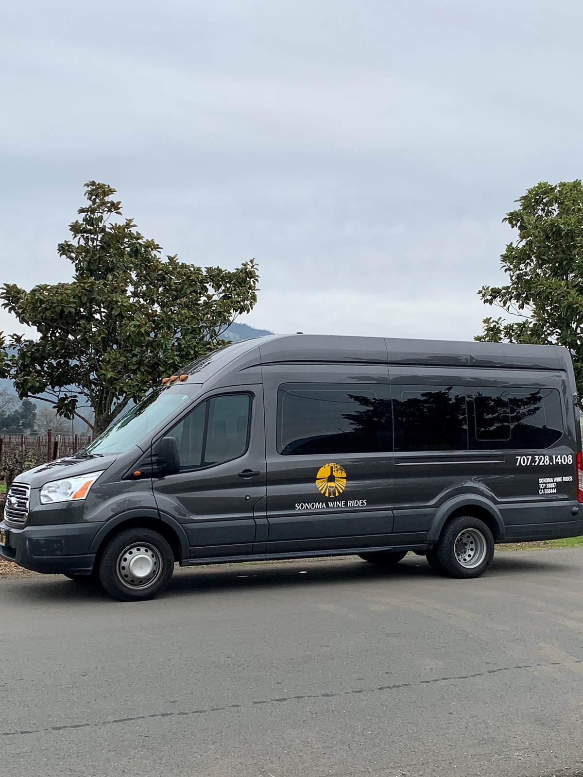 Sonoma Wine Rides: Sonoma County Join-In Group Wine Tasting Tour — Sonoma County - Photo 3