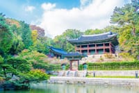 Gyeongbok Palace , Fullday Highlight Seoul  City Tour 5