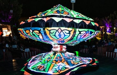 Evening Desert Safari Camel Ride Dinner Live Shows in Abu Dhabi