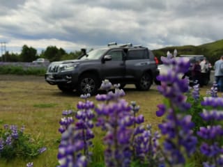 Discover Snæfellsnes Peninsula, the best that Iceland has to offer, photo 6