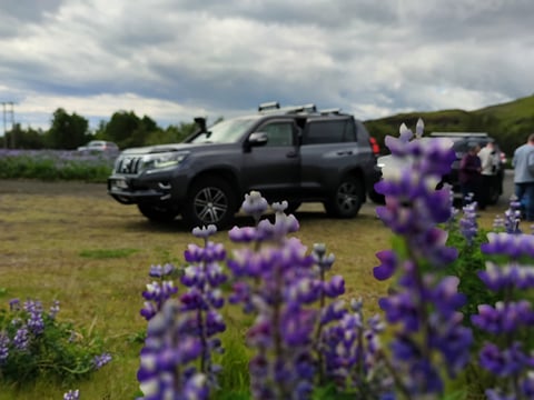 Discover Snæfellsnes Peninsula, the best that Iceland has to offer, photo 6