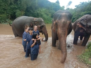 Hug Chang (Elephant) Chiangmai with Bamboo Rafting abd Long neck Tribe Village.