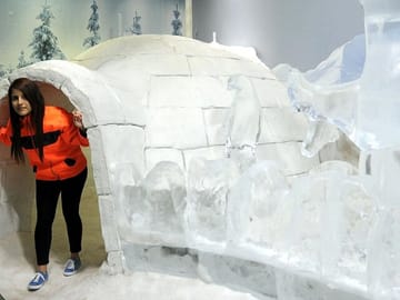 Antalya Aquarium and Fun Park All-Inclusive Tour with Pickup