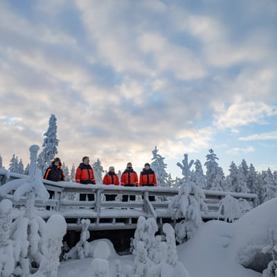 Sähkömoottorikelkkasafari Rovaniemellä - Image 15