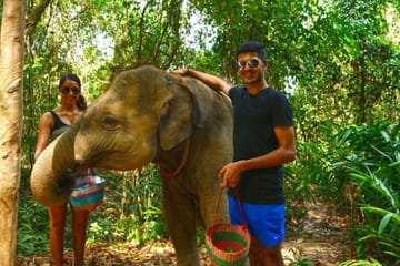 Elephant Care Experience at Phuket Wildlife Sanctuary