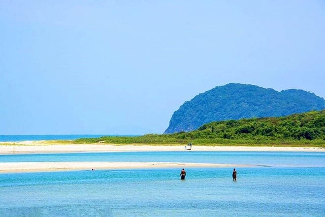 Indigenous Guarani Village & Atlantic Forest — Private Day Trip 5