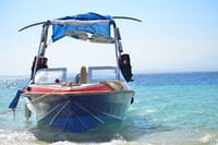 Private Speed Boat to the dolphin house Hurghada