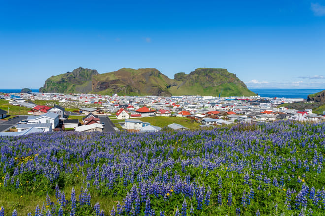 Iceland: Private Westman Islands - Volcano, Wildlife & Scenic Views