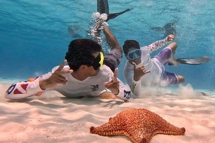 Cozumel Cruise Excursion: Private Speedboat for 8-12 4