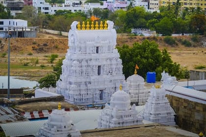 Chennai to Temple Trail: Srikalahasti & Sri Venkateswara Tour