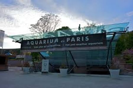 Paris Underwater Wonders: Exploring the Aquarium of Paris