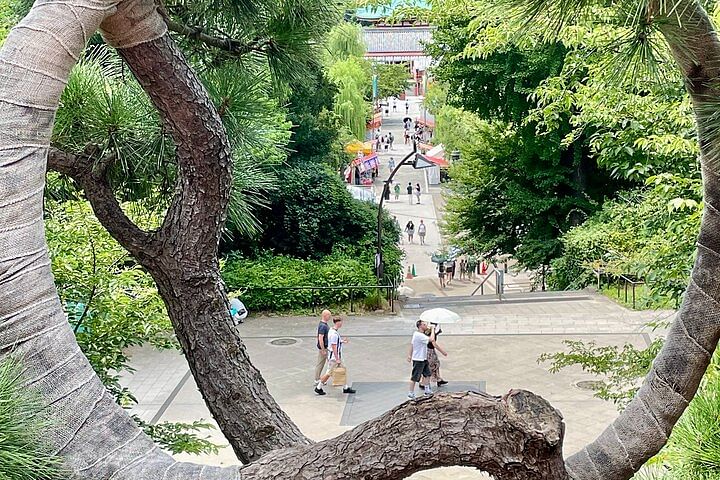 Tokyo National Museum and Ueno Ukiyo-e History Guided Tour