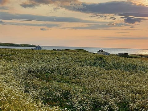 Ísafjörður - Grunnavík, photo 2