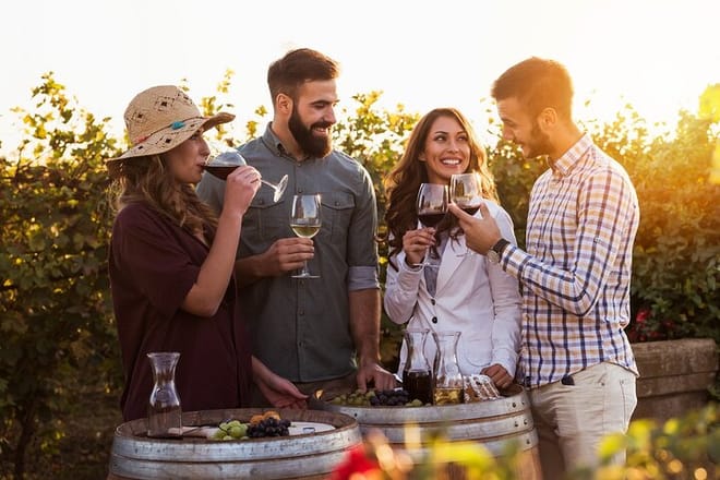 Small Group Santorini Wine Experience