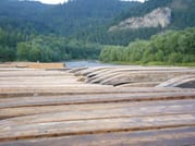 Dunajec River Gorge (River Rafting) from Krakow 5