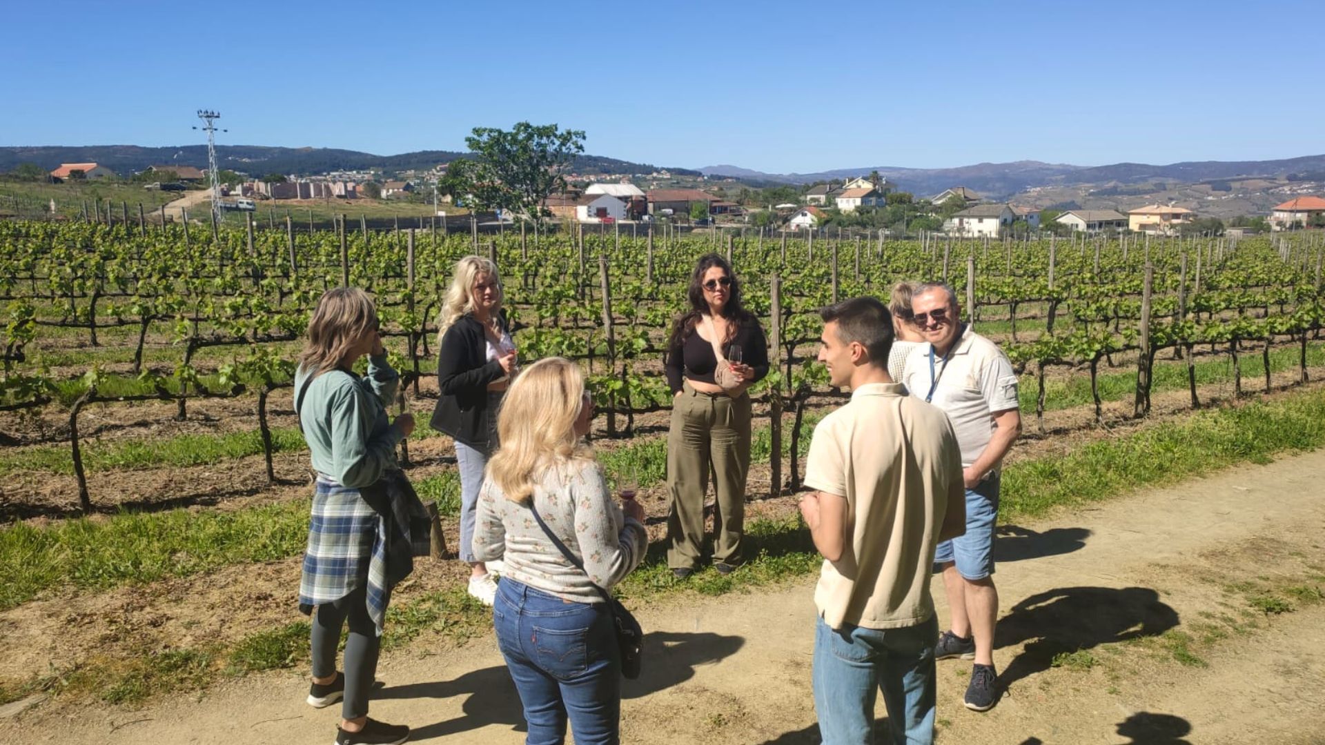 Image of a group in the vineyards during a winery visit on Cooltour Oporto's Douro Valley Wine Tour from Porto