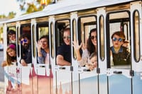 Toledo Full Day on Your Own with Tourist Train of Toledo 3
