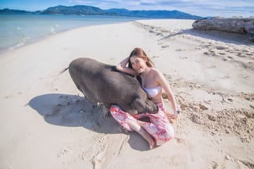 Koh Samui: Pig Island Tour by Speedboat with Snorkeling