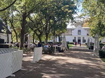 Private Full Day Wine Tasting Tour in Stellenbosch and Franschhoek