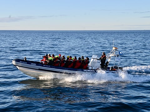 Reykjavík Premium Whale Watching, photo 6