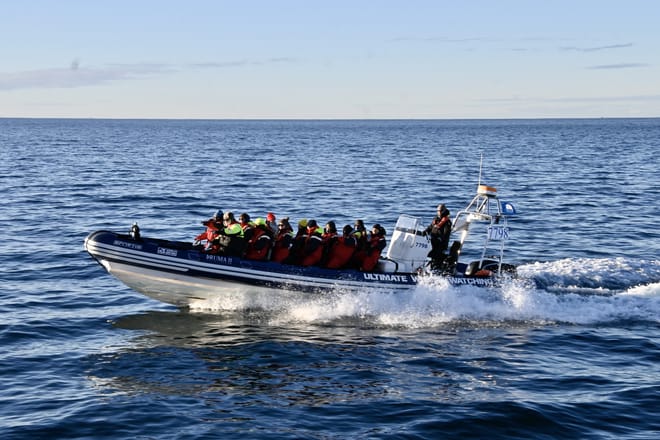 Reykjavík Premium Whale Watching 5