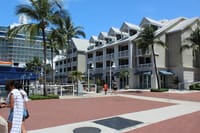 Snorkeling Key West Florida Day Trip Adventure with Boat, Snorkel in the Barrier Reef, Music & Free Open Bar 9