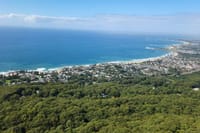 Wildlife, Hyams Whitest Beach and South Coast Private Tour 8