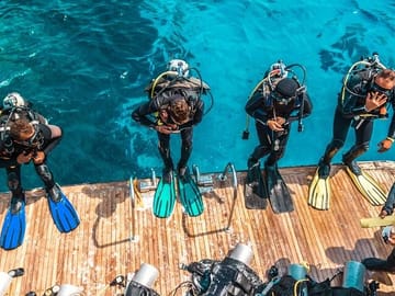 sharm el sheikh safari trip