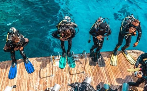 Snorkeling and Diving Tour at Ras Mohamed from Sharm El Sheikh