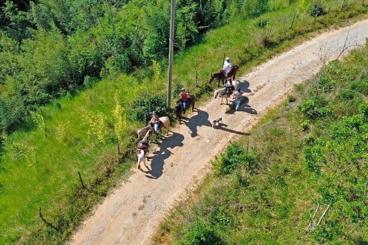 Horseback riding in the Atlantic forest BY PARATY TOURS 3