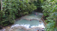 Shark Encounter in Dolphin Cove Ocho Rios  7
