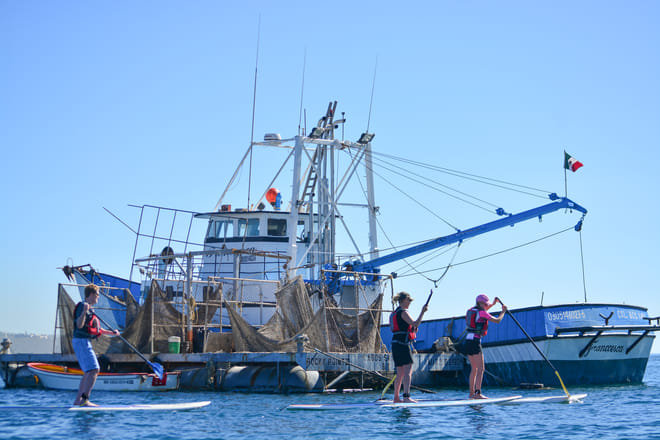 People paddle boarding near a traditional fishing boat in Cabo San Lucas