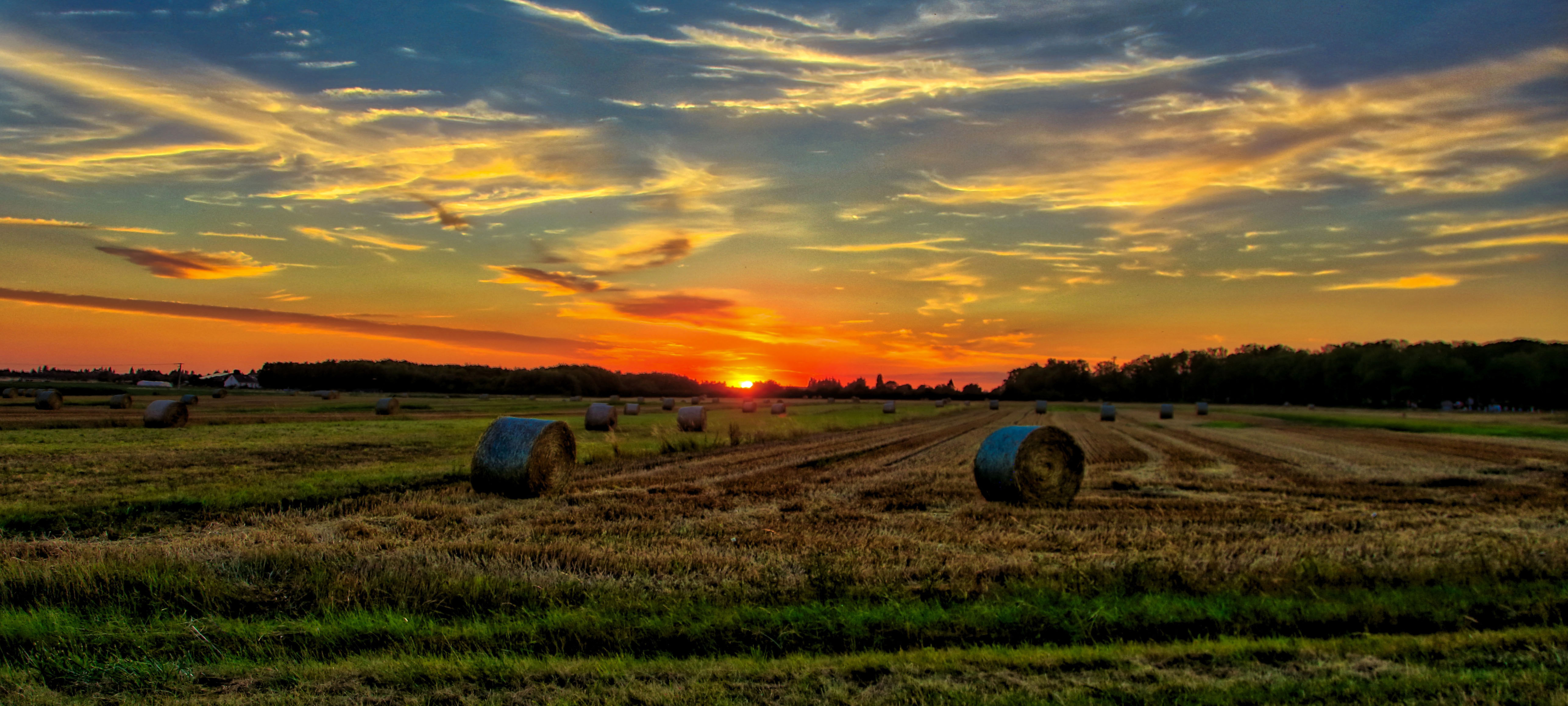 Panoramic view of typical Tuscan countryside at sunset