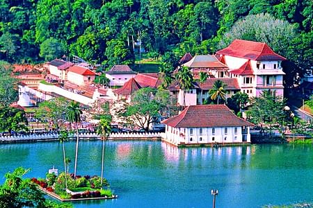 Kandy Cultural Tour: Explore the Temple of the Tooth & Botanical Gardens