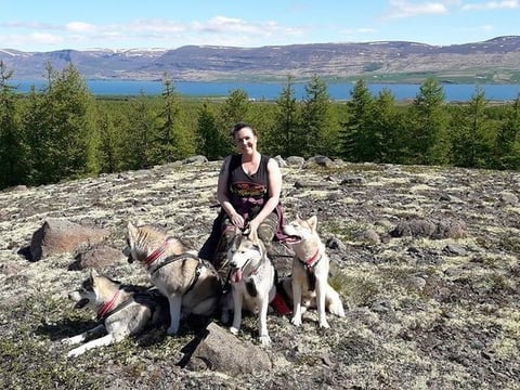 Hiking with Husky in Akureyri (private), photo 5