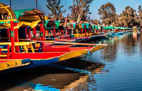 Xochimilco Boat Ride and UNAM University Tour in Mexico City