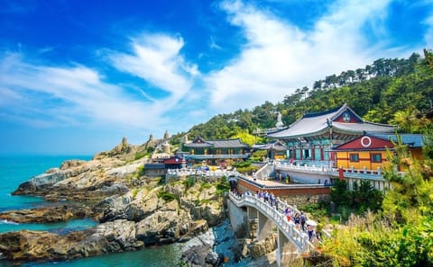 Premium Small Group Tour of Busan's Coastal Highlights
