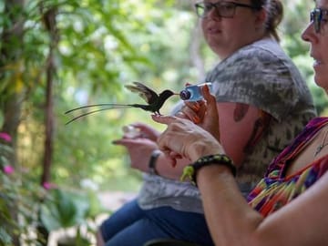 Rockland Bird Sanctuary